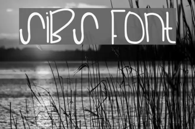 Sibs Font examples