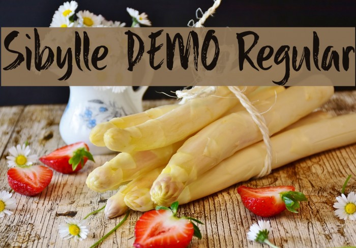 Sibylle DEMO Regular Font examples