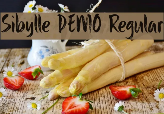 Sibylle DEMO Regular Example 1