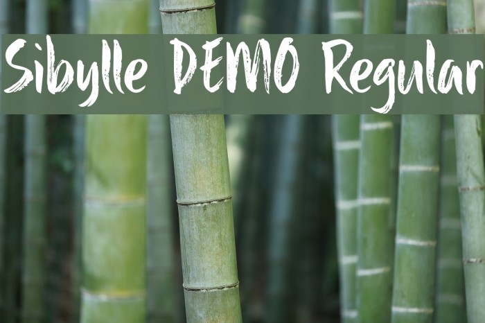 Sibylle DEMO Regular Font examples