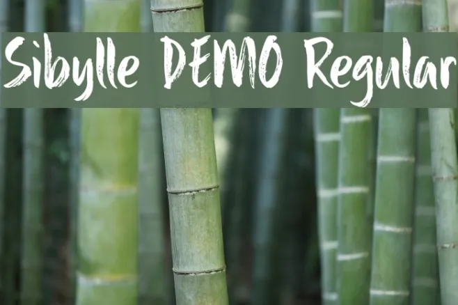 Sibylle DEMO Regular Example 3