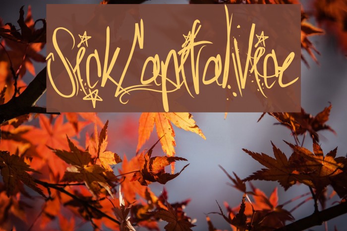 SickCapitalVice Font examples