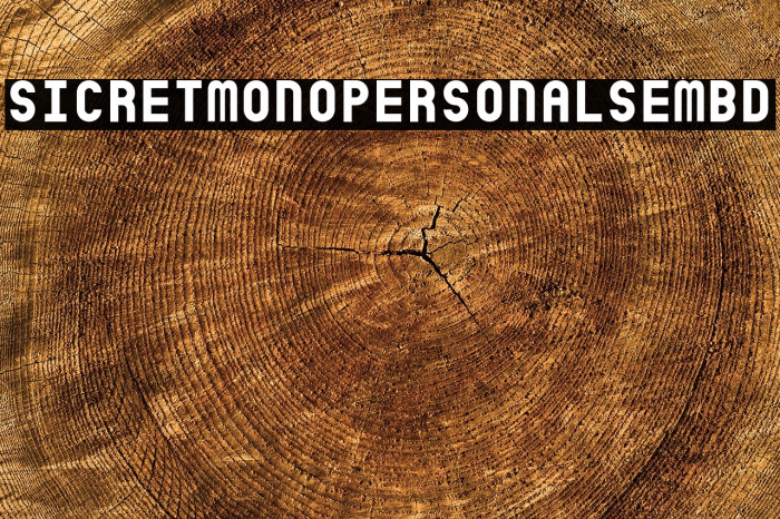 SicretMonoPERSONALSemBd لخطوط تنزيل examples