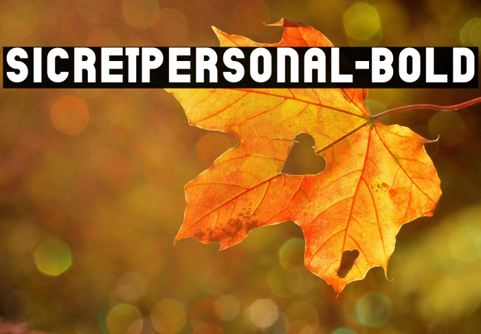 SicretPERSONAL-Bold Example 1