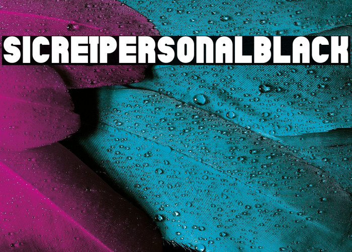 SicretPERSONALBlack Example 1