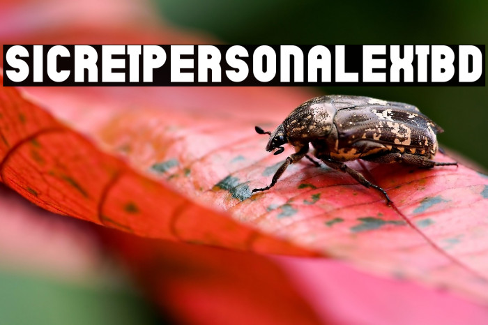 SicretPERSONALExtBd Example 2