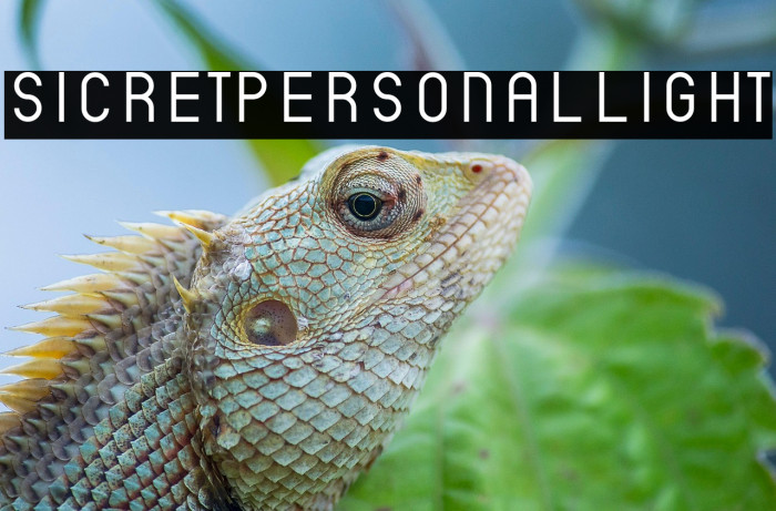 SicretPERSONALLight Example 1