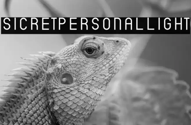 SicretPERSONALLight Font examples