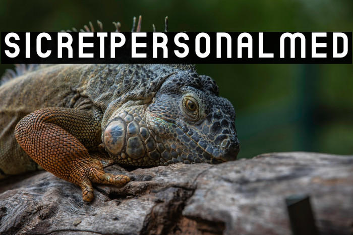 SicretPERSONALMed Example 1