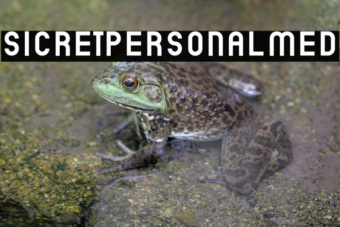 SicretPERSONALMed Example 3