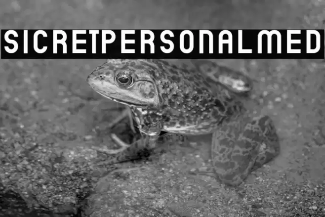 SicretPERSONALMed Font examples