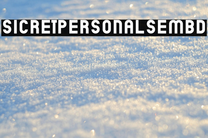 SicretPERSONALSemBd Example 3