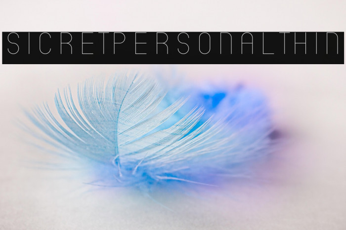 SicretPERSONALThin Example 2