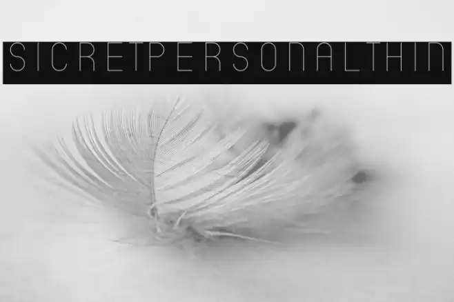 SicretPERSONALThin Font examples