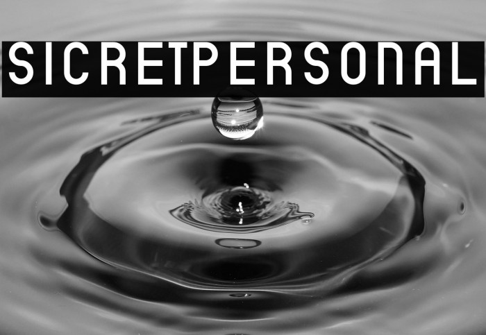 SicretPERSONAL Example 1