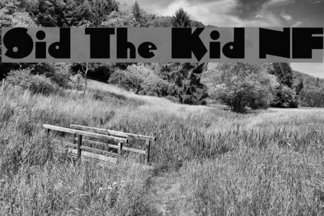 Sid The Kid NF Font examples