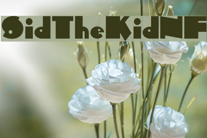 SidTheKidNF Font examples