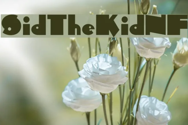 SidTheKidNF Example 2
