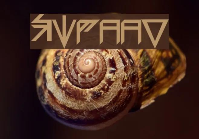 Sidaan Example 2