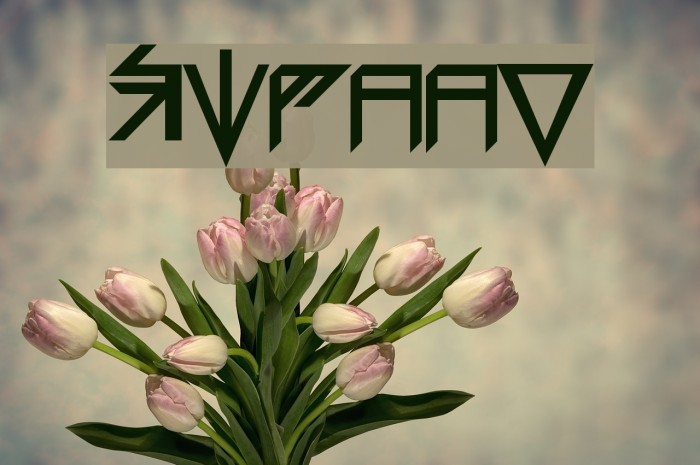 Sidaan Font examples