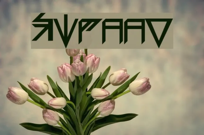 Sidaan Example 3