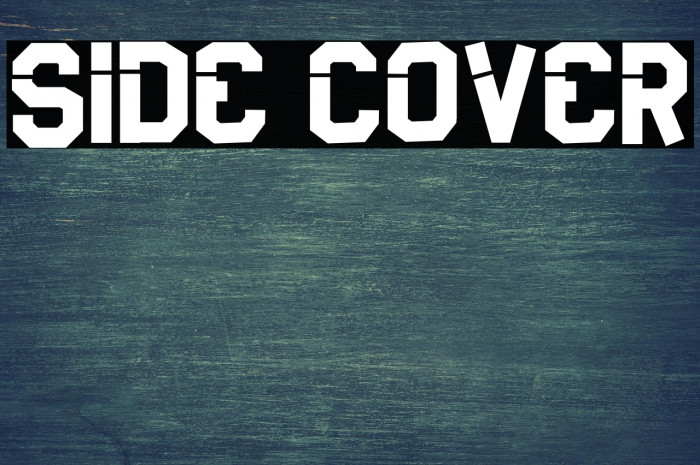 Side Cover Example 1