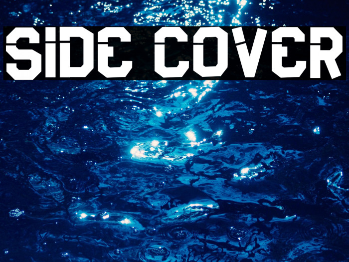 Side Cover Example 3