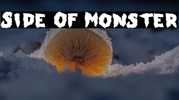 Side Of Monster Example 3