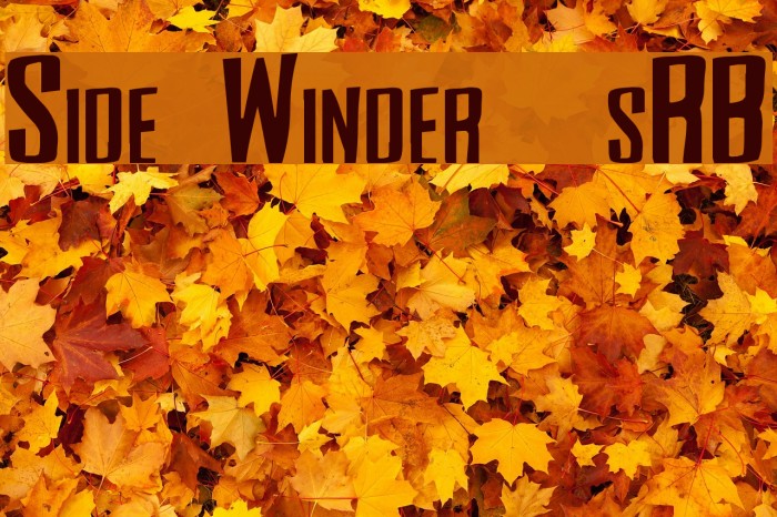 Side Winder [sRB] Example 1