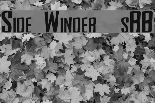 Side Winder [sRB] Font examples