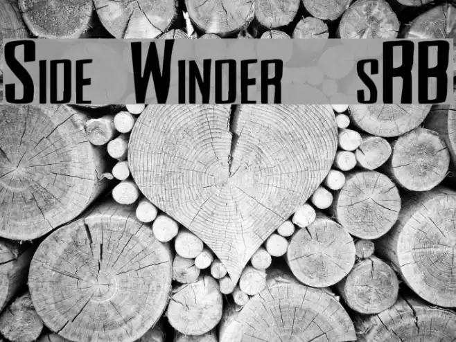 Side Winder [sRB] Font examples