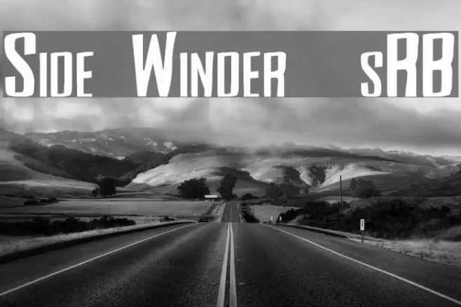 Side Winder [sRB] Font examples