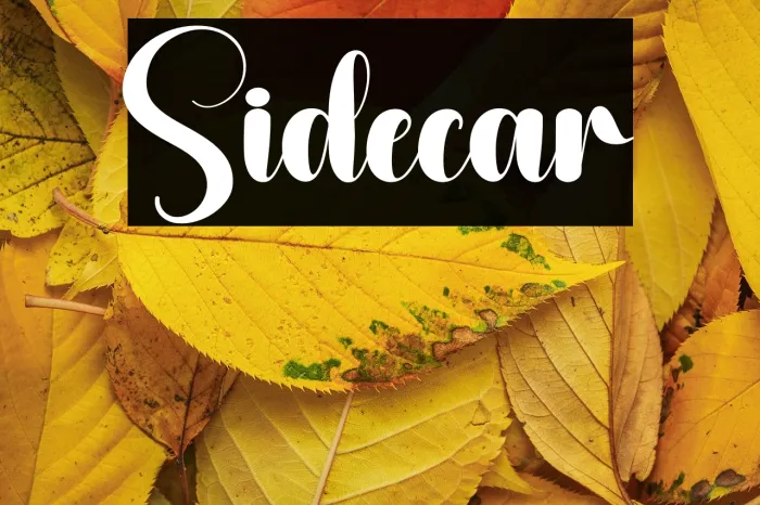 Sidecar Example 1
