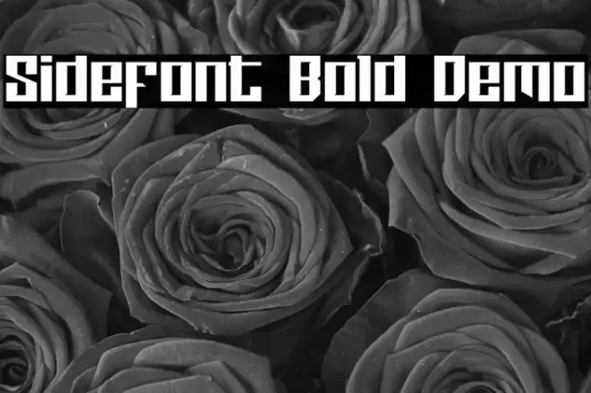 Sidefont Bold Demo फ़ॉन्ट examples