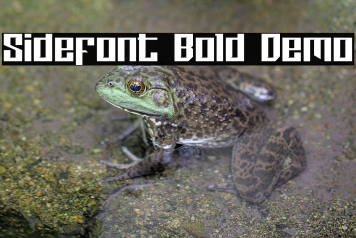Sidefont Bold Demo Example 2