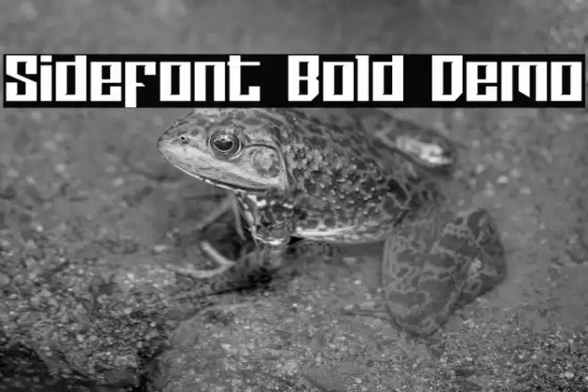 Sidefont Bold Demo फ़ॉन्ट examples