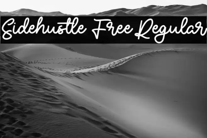 Sidehustle Free Regular Font examples