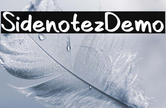 Sidenotez-Demo Example 1