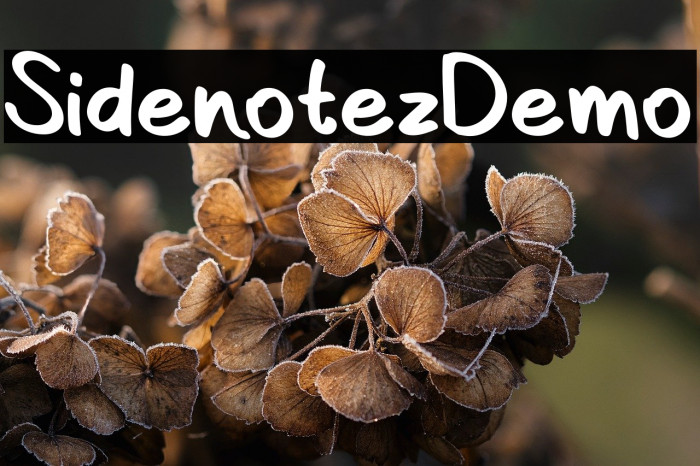 Sidenotez-Demo Example 3