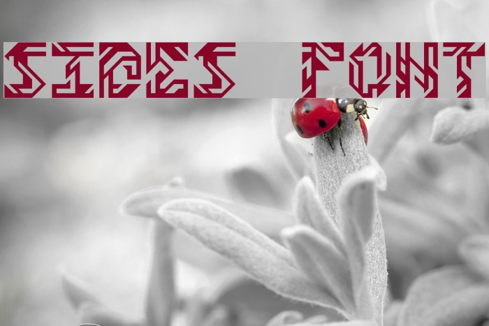 Sides Font examples