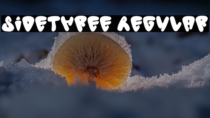 Sidethree Regular Example 3