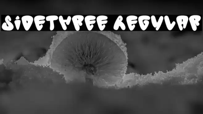 Sidethree Regular Font examples