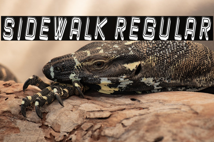 Sidewalk Regular Example 2