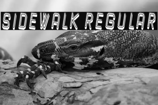 Sidewalk Regular Font examples