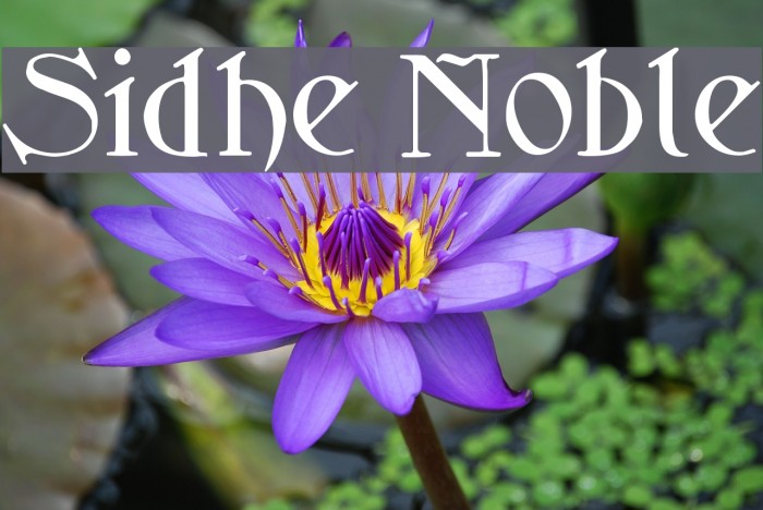Sidhe Noble Example 1