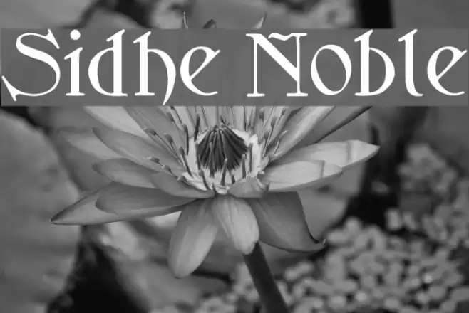 Sidhe Noble Font examples