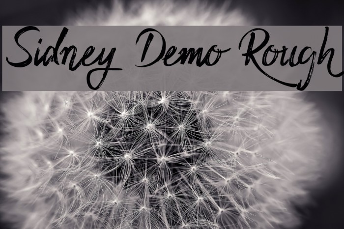 Sidney Demo Rough Font examples