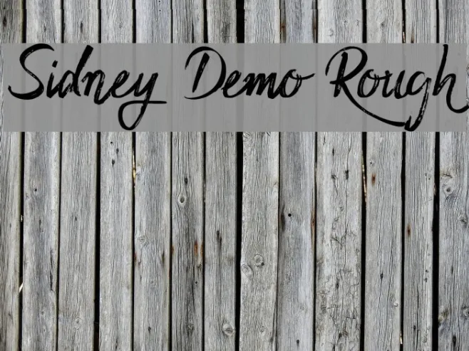 Sidney Demo Rough Example 3
