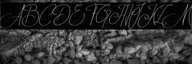 SidorabyPersonalUseOnly-Regular Font examples