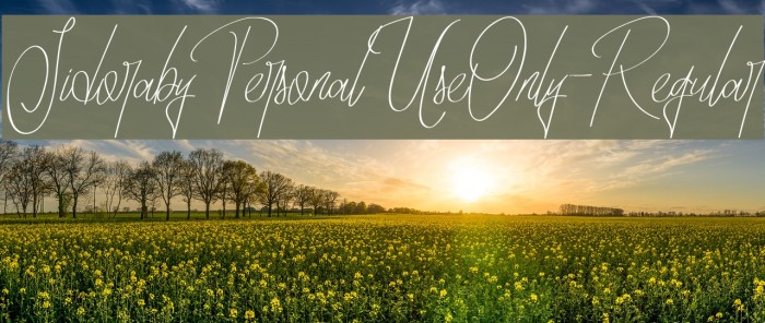 SidorabyPersonalUseOnly-Regular Font examples